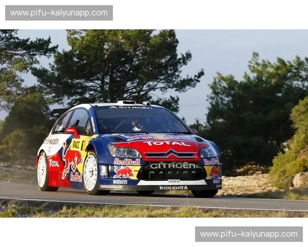 赛程WRC：跟随赛程，感受拉力赛的速度与策略